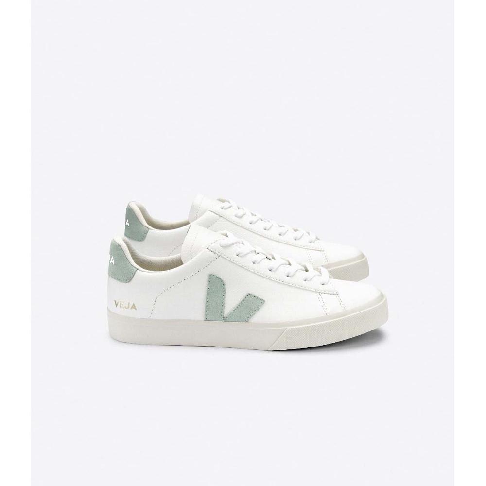 Men\'s Veja CAMPO CHROMEFREE Low Tops Sneakers White/Mint | ZA 295RVD